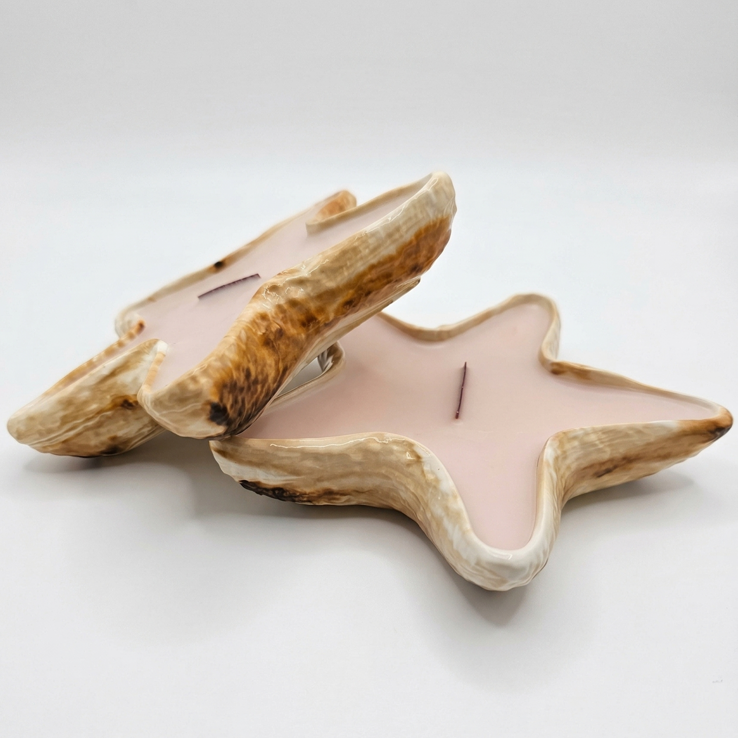Bougie Étoile de Mer - Sable / Sel Marin, Bois