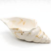Récipient Aura - Blanc / Or