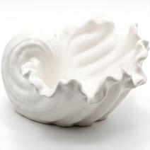 Bol coquillage design - Blanc