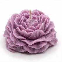 Bougie Pivoine - Violette / Lavande