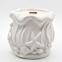 Bougie Océan - Blanche / Eucalyptus, Camphre